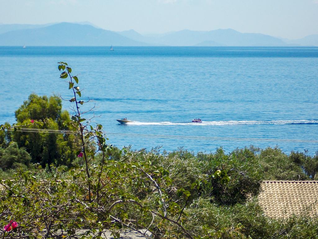 Manto On The Beach Apartments Barbati Exteriör bild